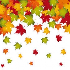 programme 3-11 ans automne
