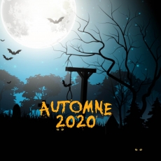 Programme Automne 2020