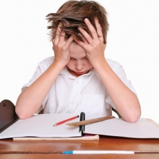 Que se passe-t-il dans la t&ecirc;te de mon enfant quand il apprend ?