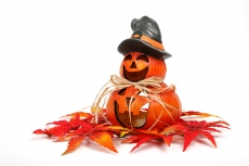 Inscriptions pour les vacances d'automne