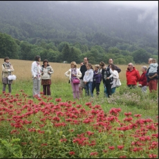15 juin 21: un tour dans les Bauges