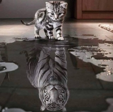 La confiance
