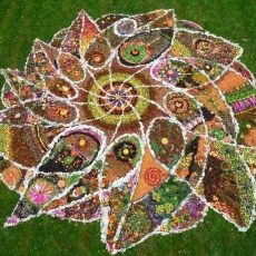 Vivre la nature avec le land'art